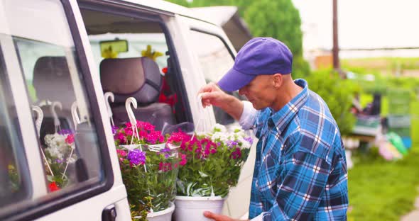 Male Farmer Loading Van Trunk With Hanging Plants alt