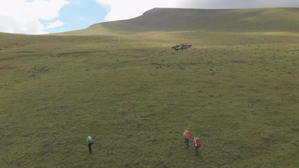 Drone Shot of a Group of Tourists Climbs the Mountain
