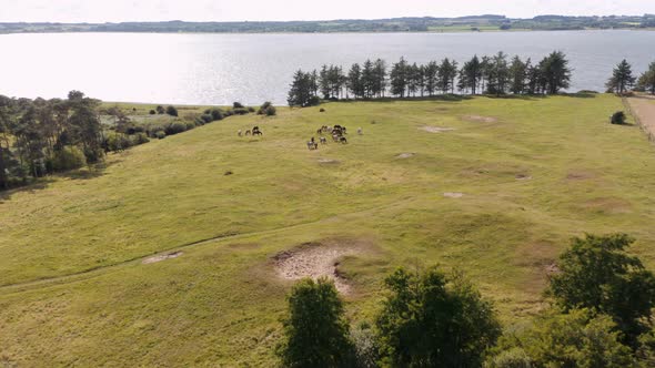 Drone Flight Over Landscape Towards Grazing Horses alt