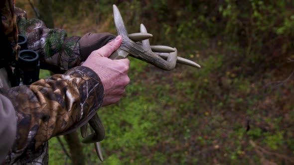 Rattling horns used in hunting alt
