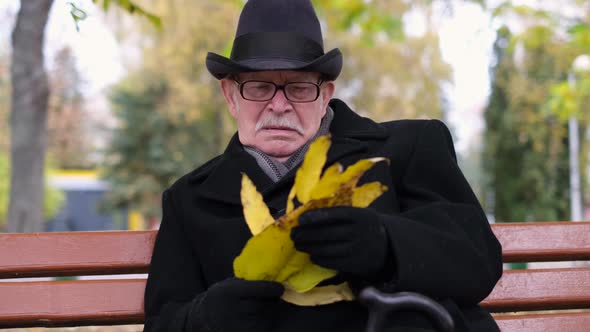 An Old Man is Sitting on a Park Bench He is Looking at Yellow Leaves alt