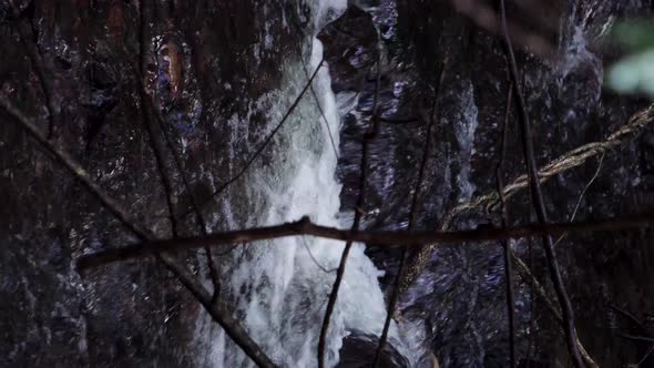 Vertical video of a river in hornopiren national park, south of chile alt