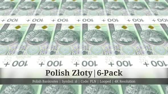 Polish Złoty | Poland Currency - 6 Pack | 4K Resolution | Looped alt