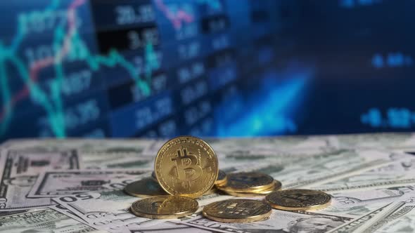 Bitcoin Coins Against the Backdrop of Changing Stock Exchange Rates Police Light alt