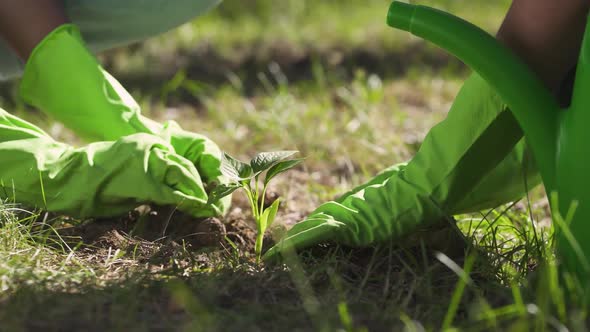 African Ecoactivists Planting Plants Volunteer Work for Nature Conservation Planting Plants in the alt