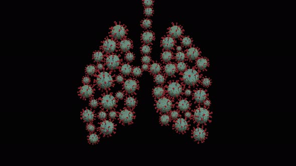 An Image of a Group of Moving Coronaviruses in a Form of Lungs on a Transparent Background alt