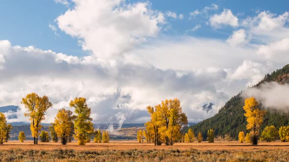 Time lapse of low clouds and trees during Fall alt