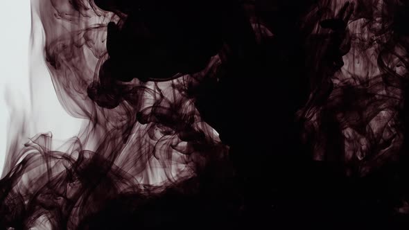 Black Ink Sprayed Into Water On A White Background alt
