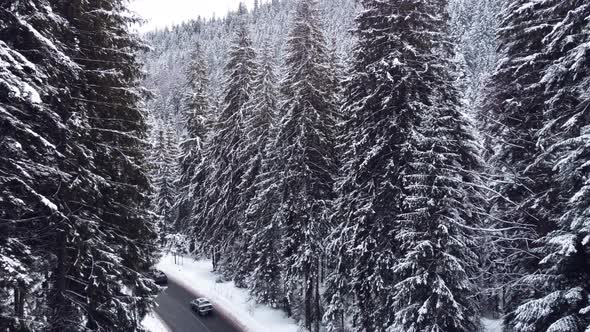 Aerial top view snowy forest mountains with cars driving winter road.