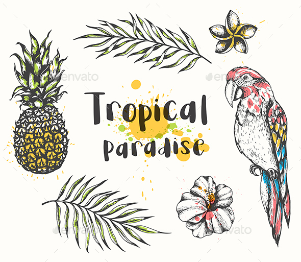 Parrot and Tropical Plants - Animals Characters