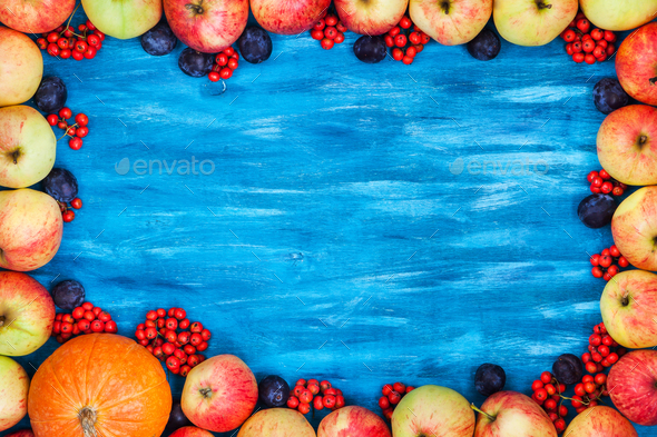 Autumn frame of apples, pumpkin, rowan on painted blue wooden b Stock Photo by KateSmirnova