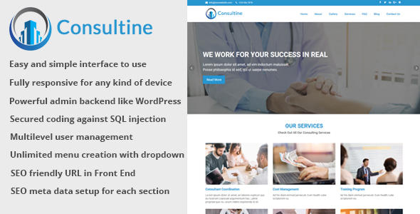 Consultine - Consulting - CodeCanyon 22236735