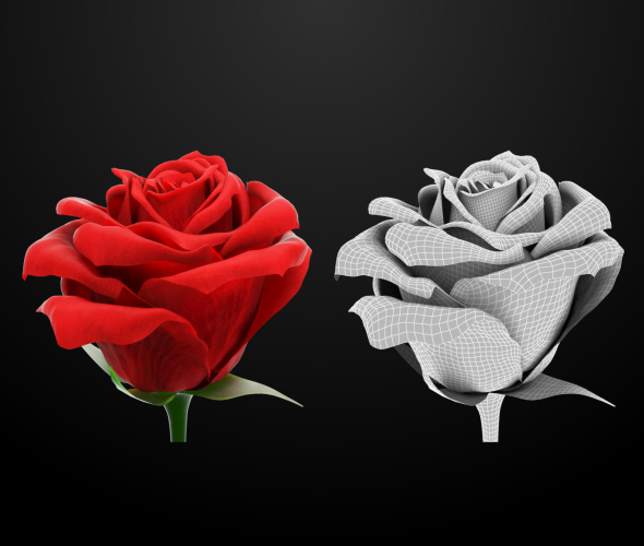 Red Rose - 3Docean 22242362
