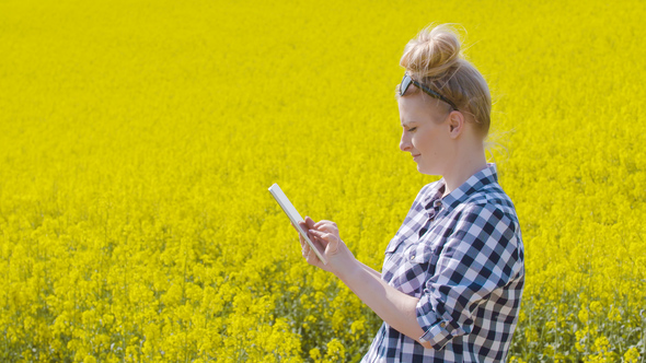 Farmer Examining Rapeseed Blooming Plants alt