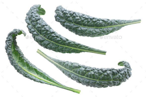 Bumpy leaf cabbage kale black tuscan