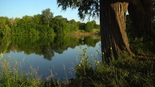 Birds Flying Over Pond