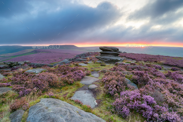 Summer Sunrise in the Peak District Stock Photo by flotsom | PhotoDune