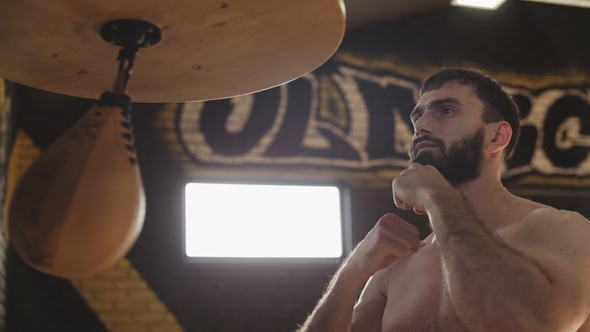 Bearded Boxer Training with Speed Bag. Young Boxer Practicing Punches alt