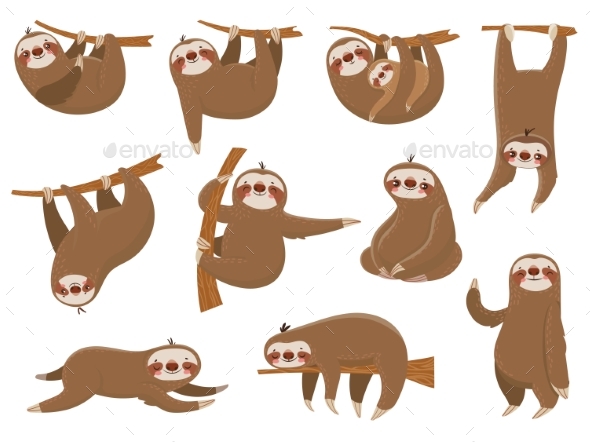Cartoon Sloths - Animals Characters