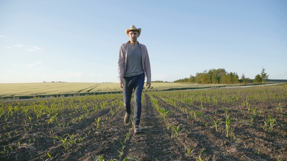 Glamorous Farmer Walks and Checks Maize Harvest in a Field alt