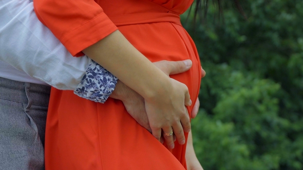 Hands  of the Belly of a Pregnant Girl