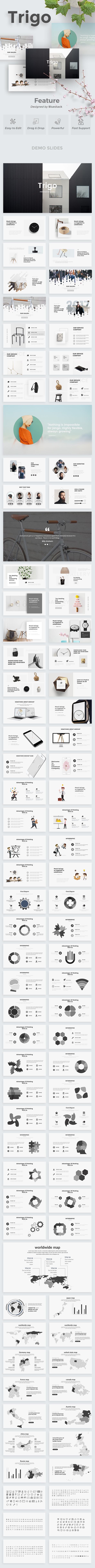 Trigo Minimal Google Slide Template - Google Slides Presentation Templates