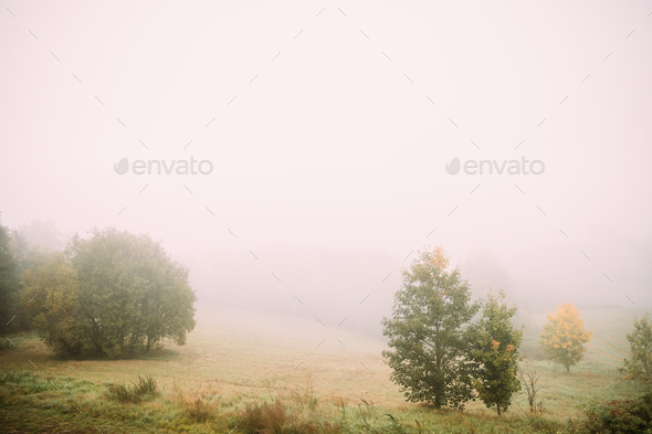 Misty Landscape. Morning Fog Over Misty Meadow. Autumn Nature Of - Stock Photo - Images