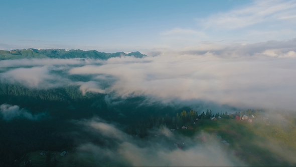 Gomismta / Gomi Mountain - Misty mountain Georgia, guria alt