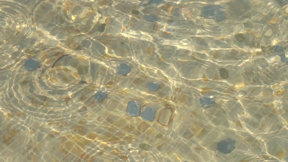 Coins in the Fountain of Happiness