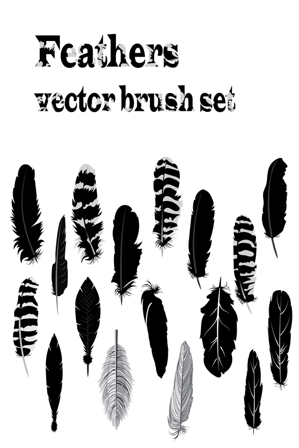 Feathers brush set - Brushes Illustrator