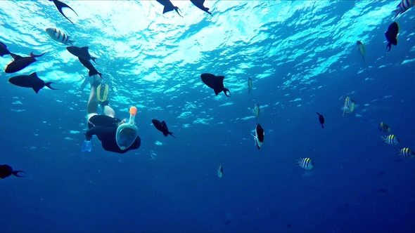 Cute Snorkeling Girl Waving Into the Camera