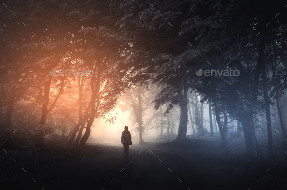 Man in surreal forest with fog and mysterious light on Halloween Stock Photo by andreiuc88