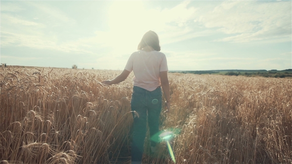 Woman's Hand Running Through Organic Wheat Field, Steadicam Shot. . Sun Lens Flare. Girl's Hand