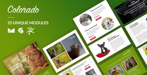 Colorado Email-Template + - ThemeForest 22288586