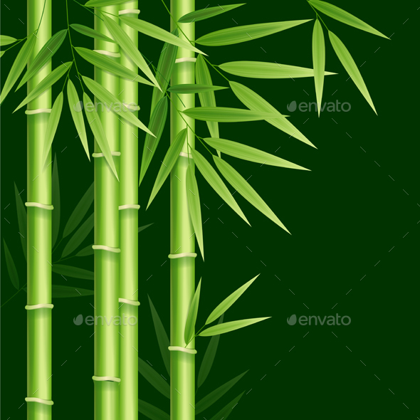 Realistic Detailed Bamboo Background Card - Backgrounds Decorative