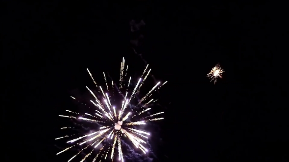 Beautiful Fireworks in Night Sky alt