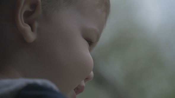 Young Boy Smiles Watching Rain Drops alt