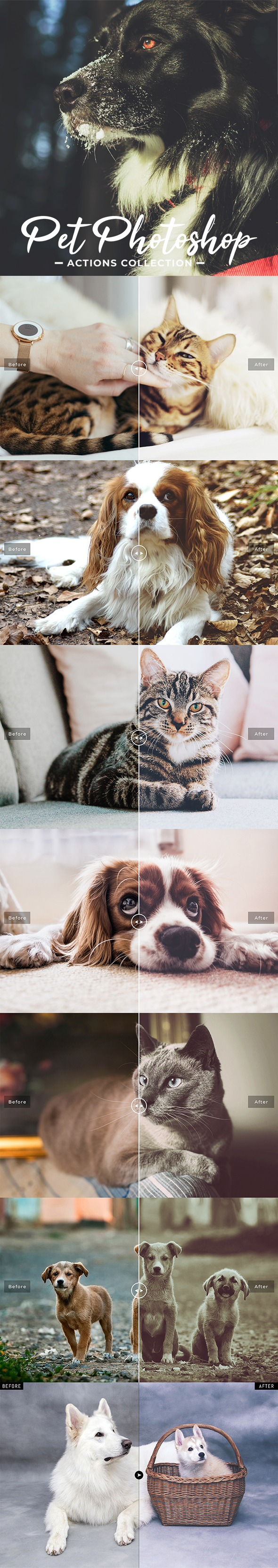 Pet Photoshop Actions Collection - Actions Photoshop