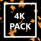 Falling Leaves - VideoHive Item for Sale
