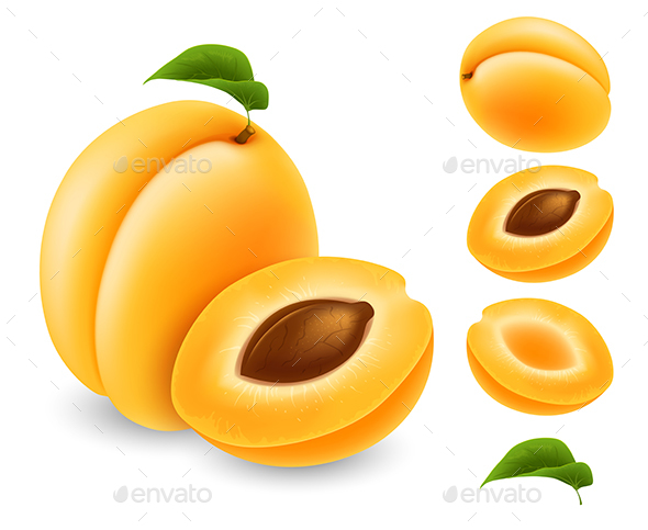 Apricot - Food Objects