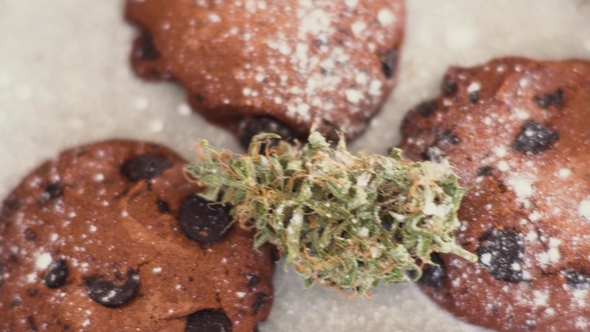 Cookies with CBD Cannabis and Buds of Marijuana on the Table