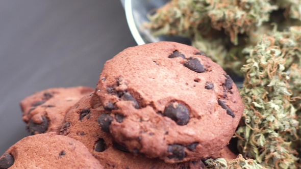 A Can of Cannabis Buds Cookies with Cannabis and Buds of Marijuana on the Table Concept of Cooking alt