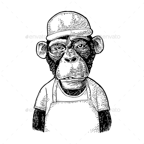 Monkeys Fast Food Worker Vintage Black Engraving - Animals Characters