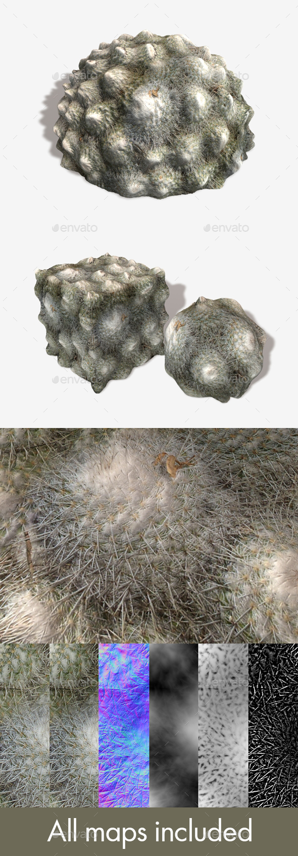 Ground Cactus Seamless - 3Docean 22313163