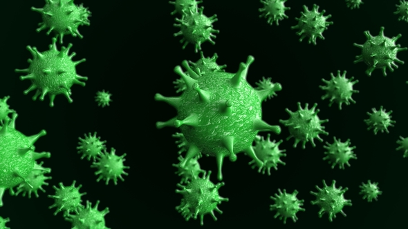 Focus on Cell of a Deadly Microorganism, Motion Graphics | VideoHive