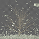 Dollar Money Tree - VideoHive Item for Sale