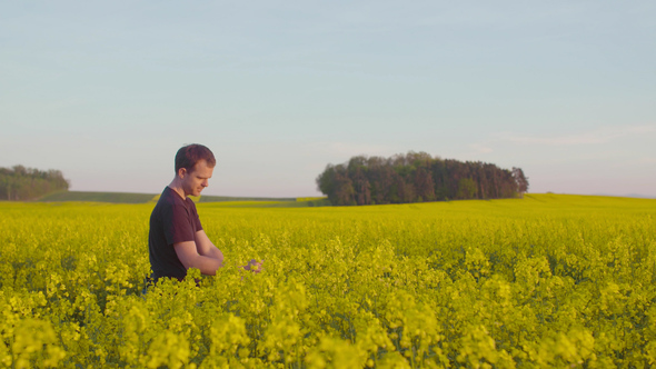 Farmer Examining Rape Blossom on Field alt