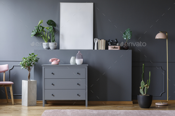 Plant next to grey cabinet with pink phone in living room interi Stock Photo by bialasiewicz