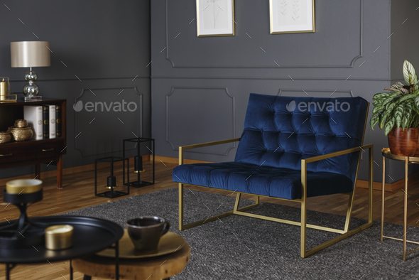Real photo of a large, navy blue armchair with golden frame agai