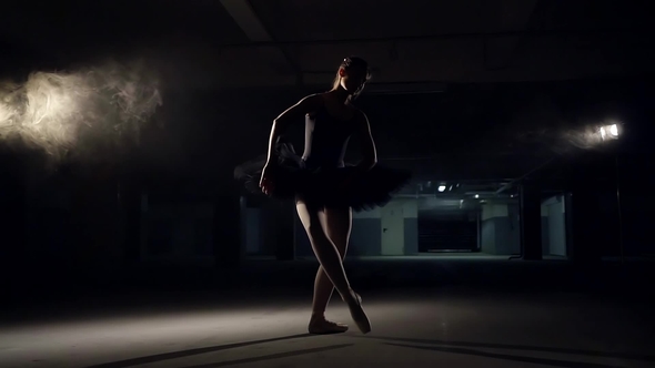 Young Ballerina in Pointes and Ballet Tutu, Performs Black Swan Dance in Modern Performance alt